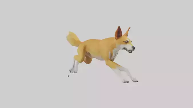 Dingo dog running model