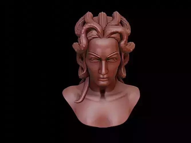 Medusa Bust