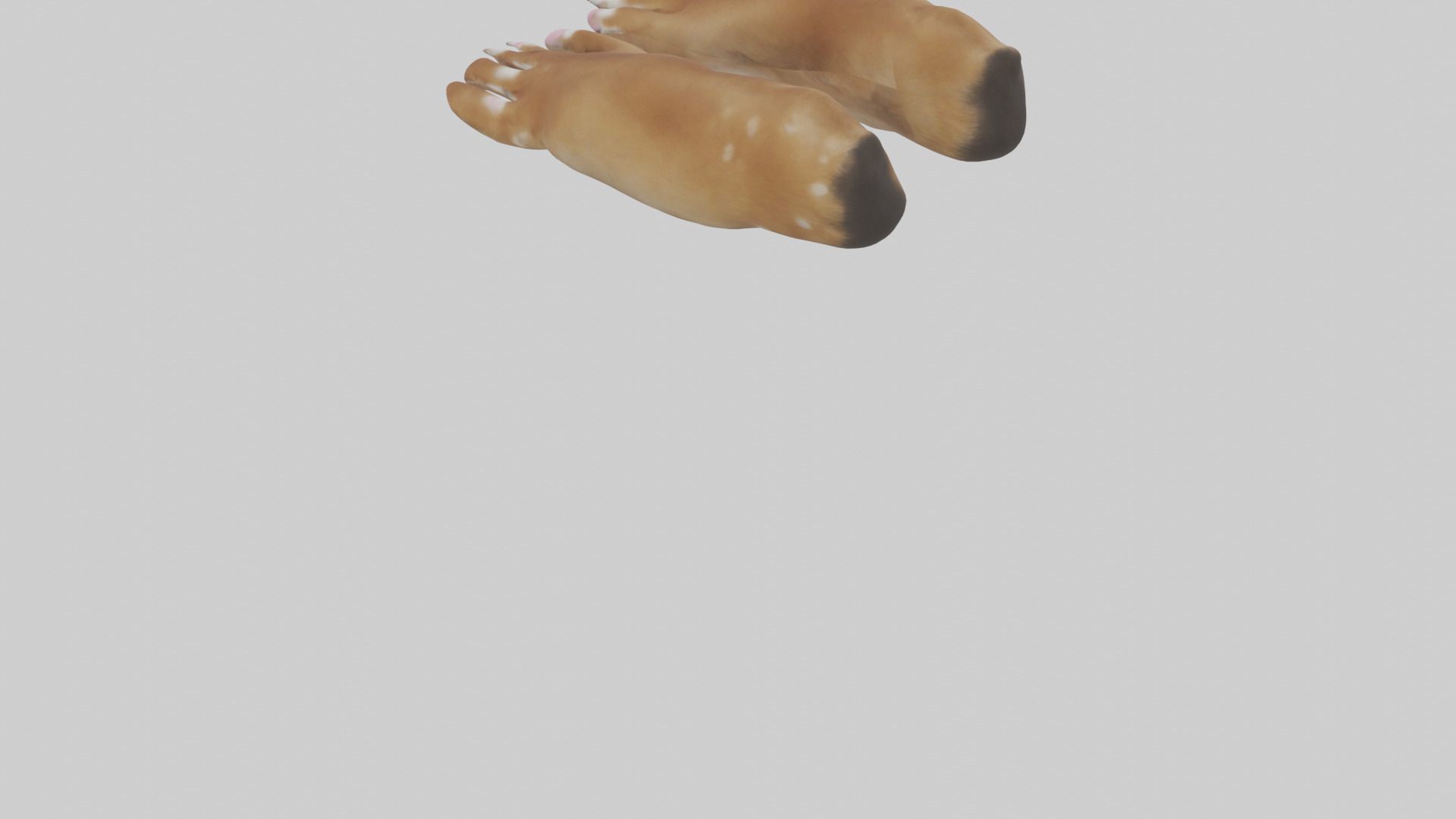 Dog Paws Low-poly 3D model_3