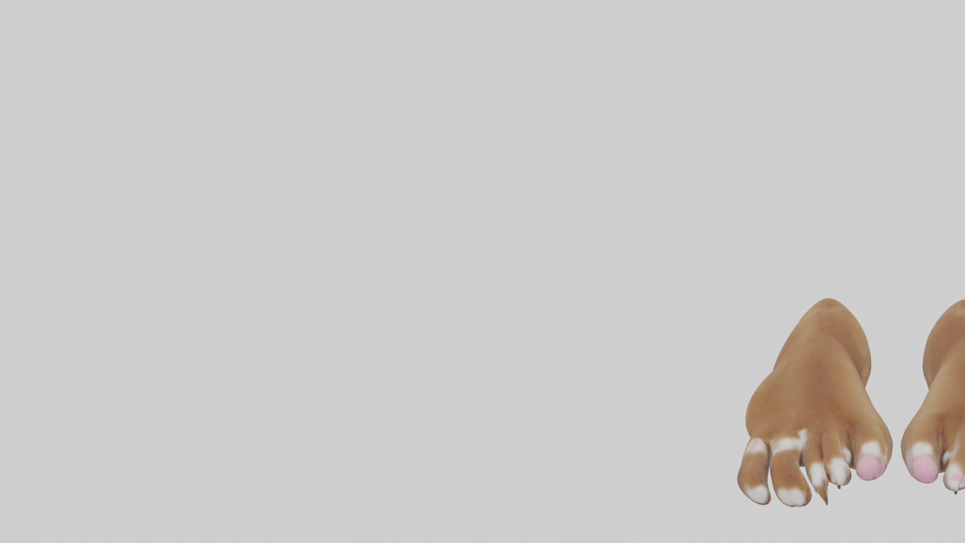 Dog Paws Low-poly 3D model_21