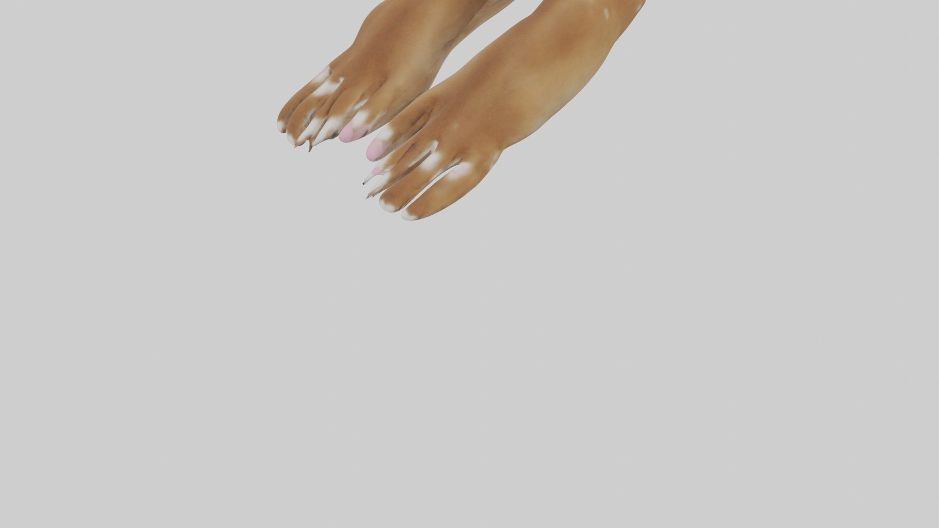 Dog Paws Low-poly 3D model_5