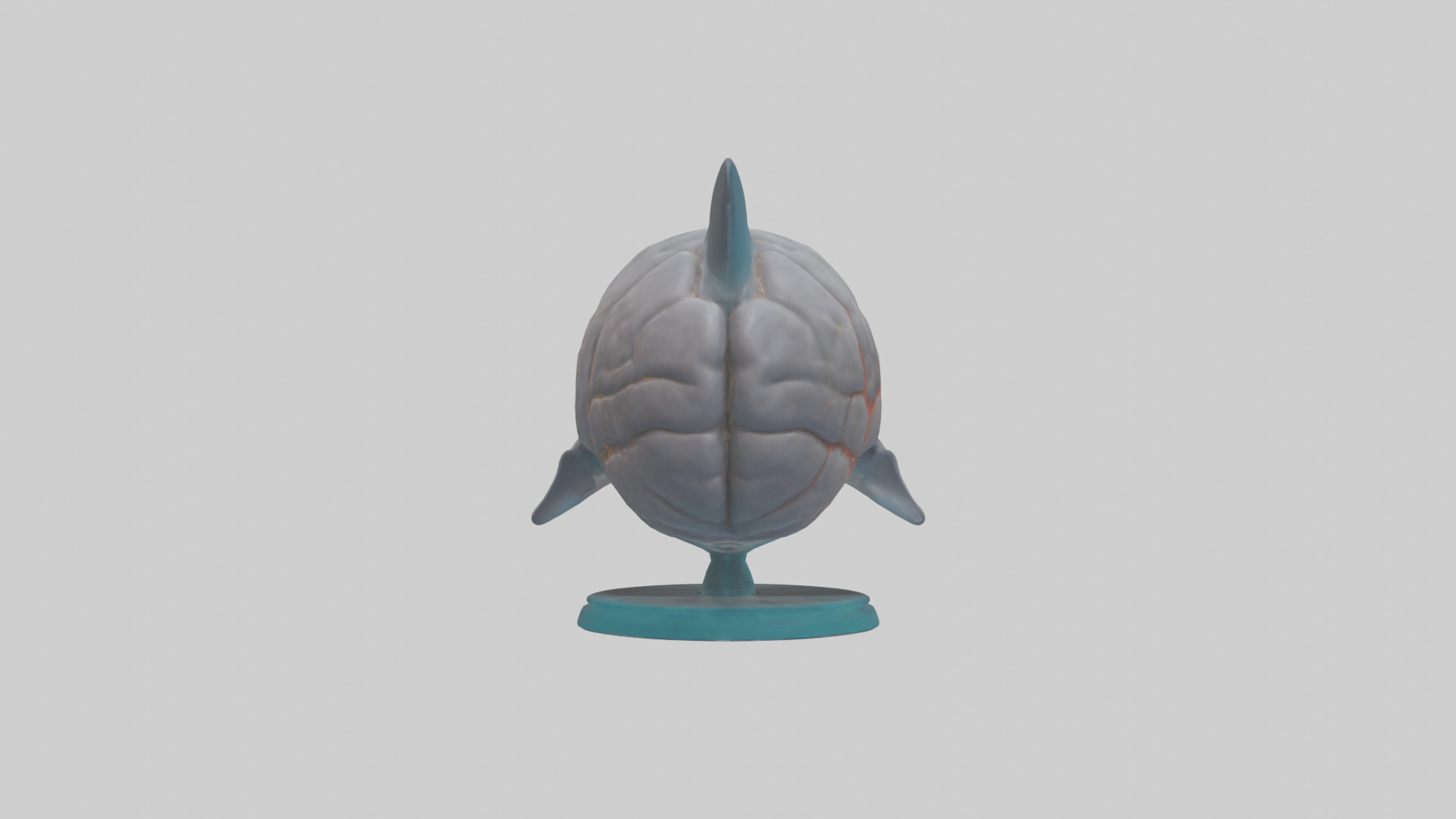 Dolphin Brain Low-poly 3D model_1