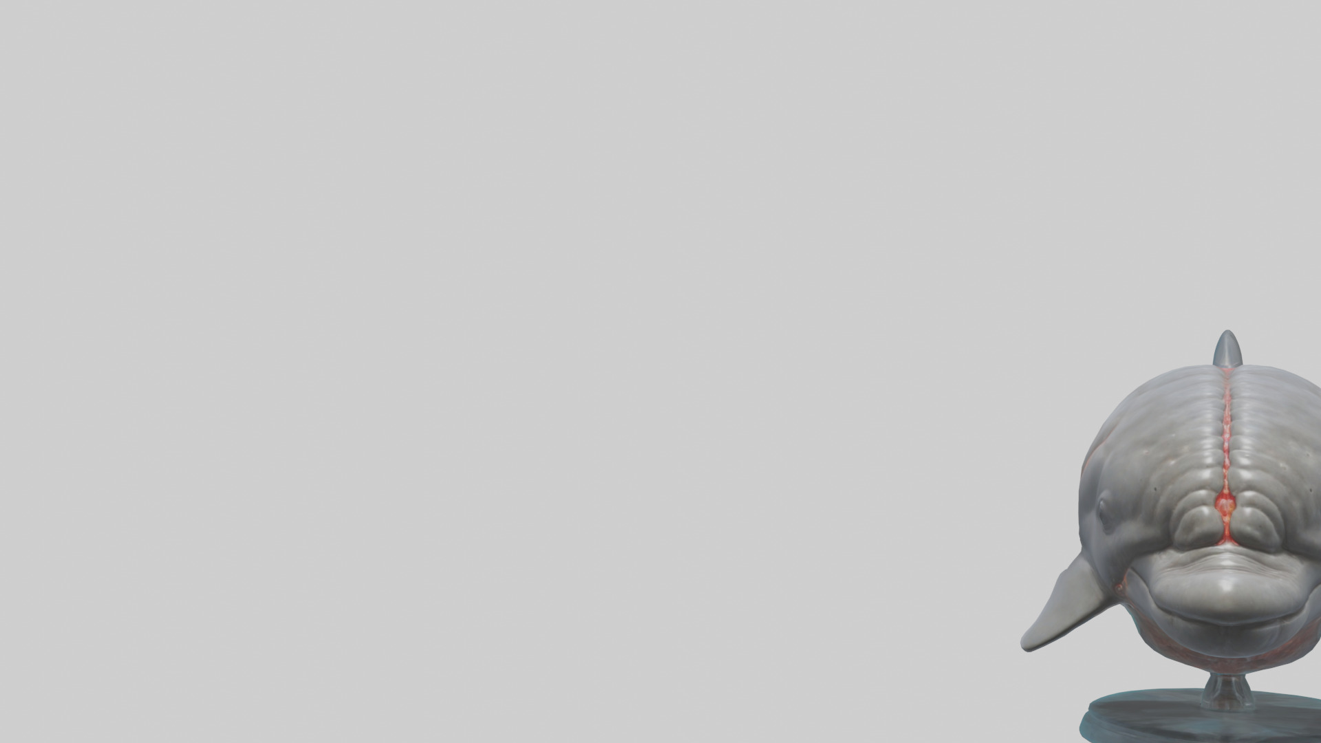 Dolphin Brain Low-poly 3D model_21