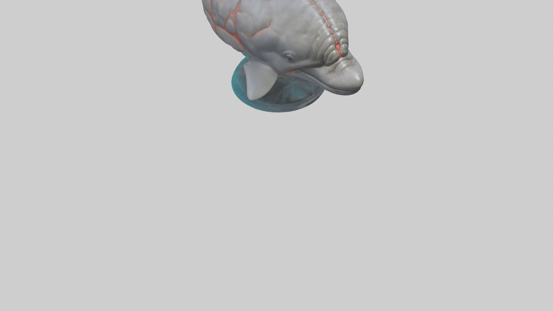 Dolphin Brain Low-poly 3D model_7