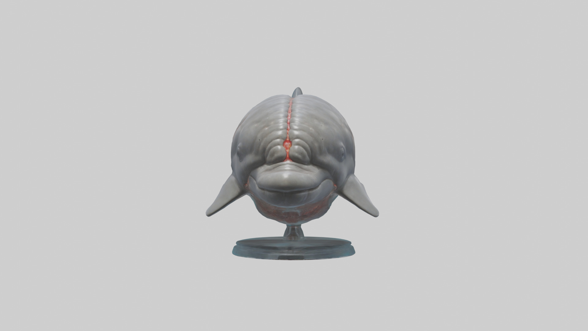 Dolphin Brain Low-poly 3D model_14