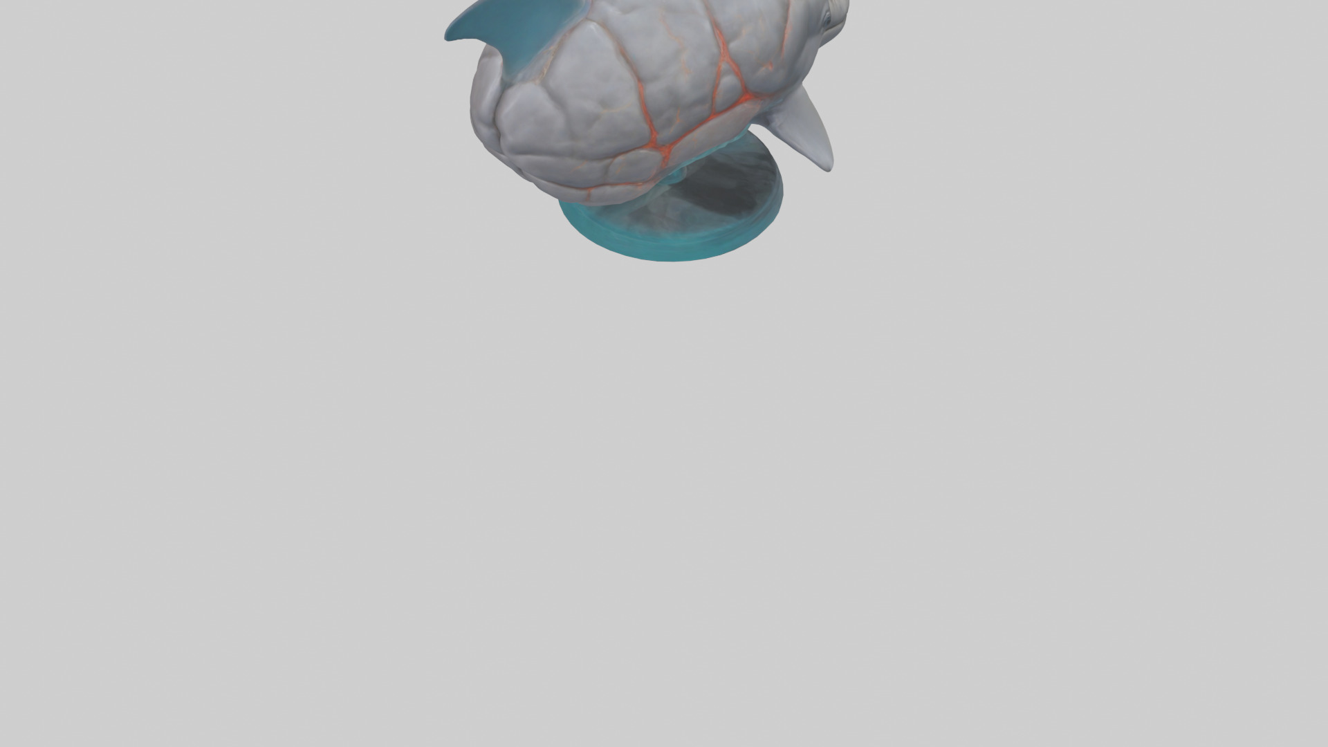 Dolphin Brain Low-poly 3D model_5