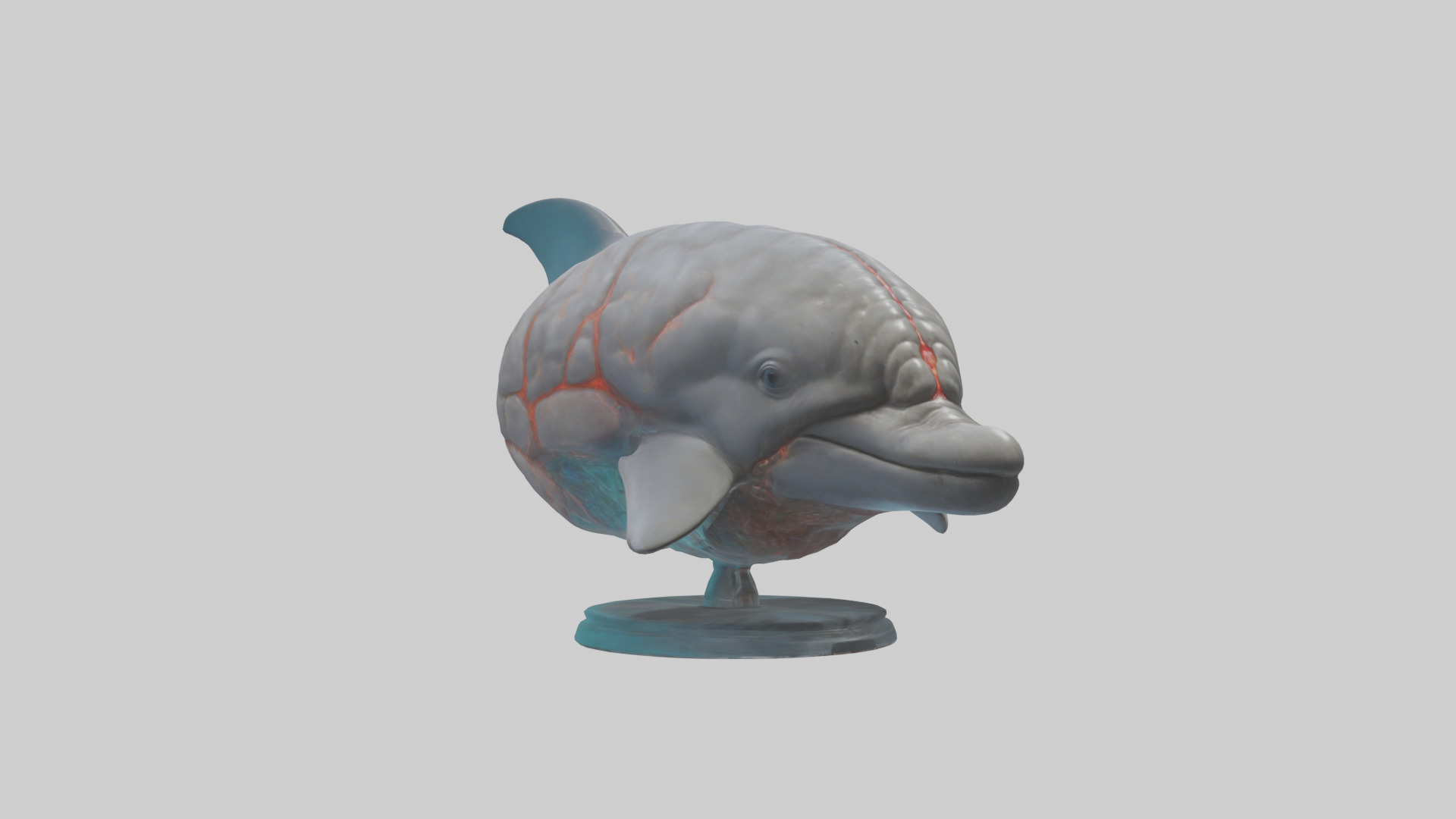 Dolphin Brain Low-poly 3D model_16