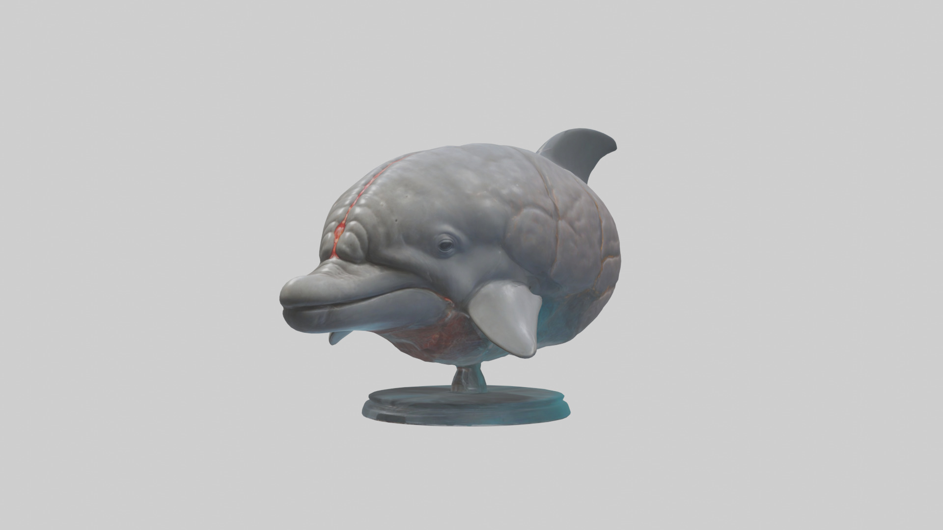 Dolphin Brain Low-poly 3D model_11