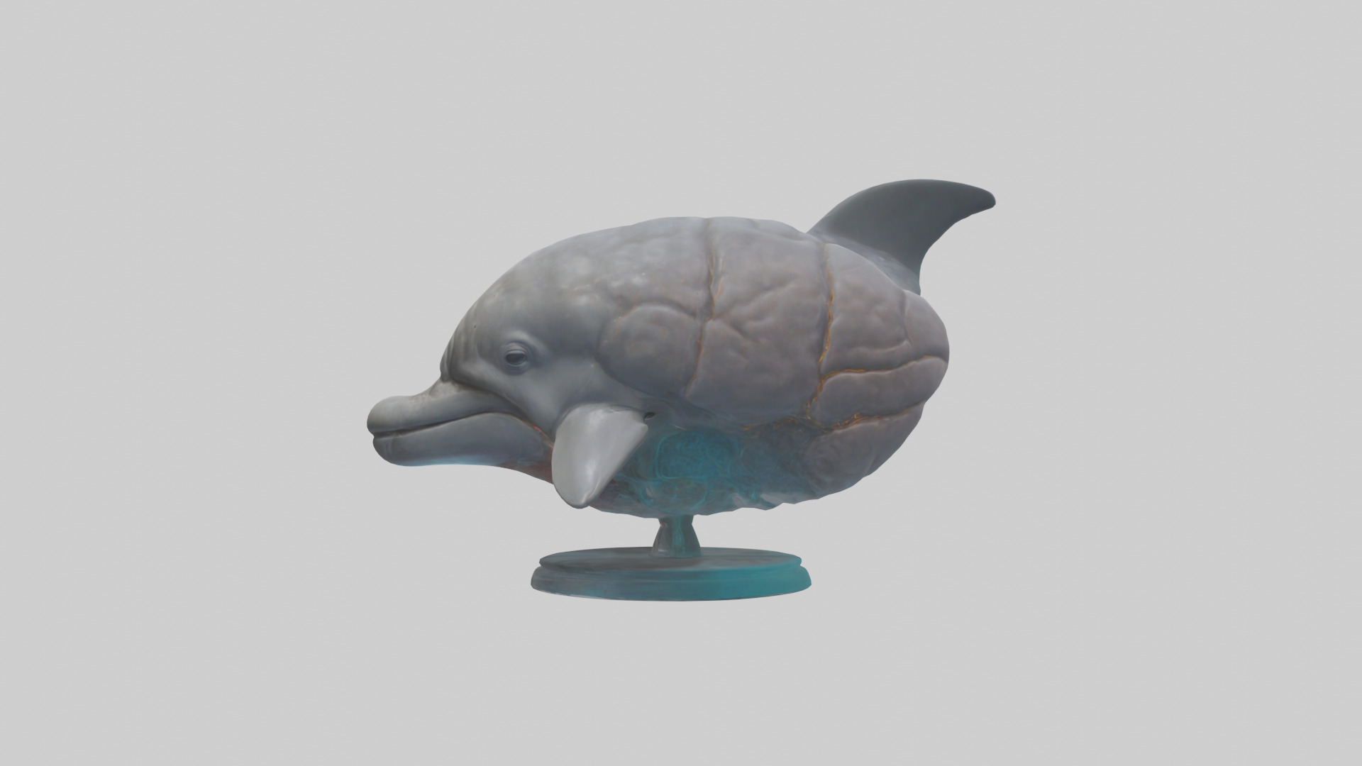 Dolphin Brain Low-poly 3D model_22