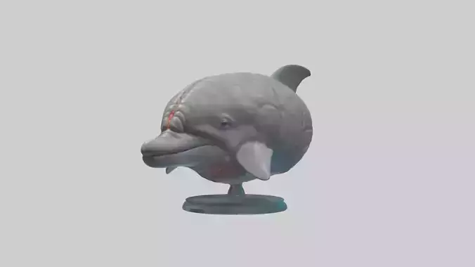 Dolphin Brain