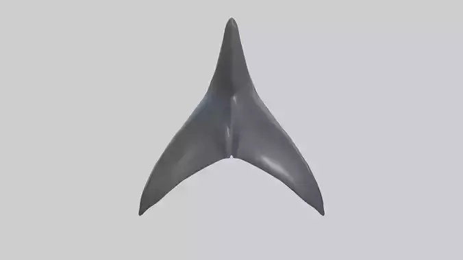 Dolphin Dorsal Fin
