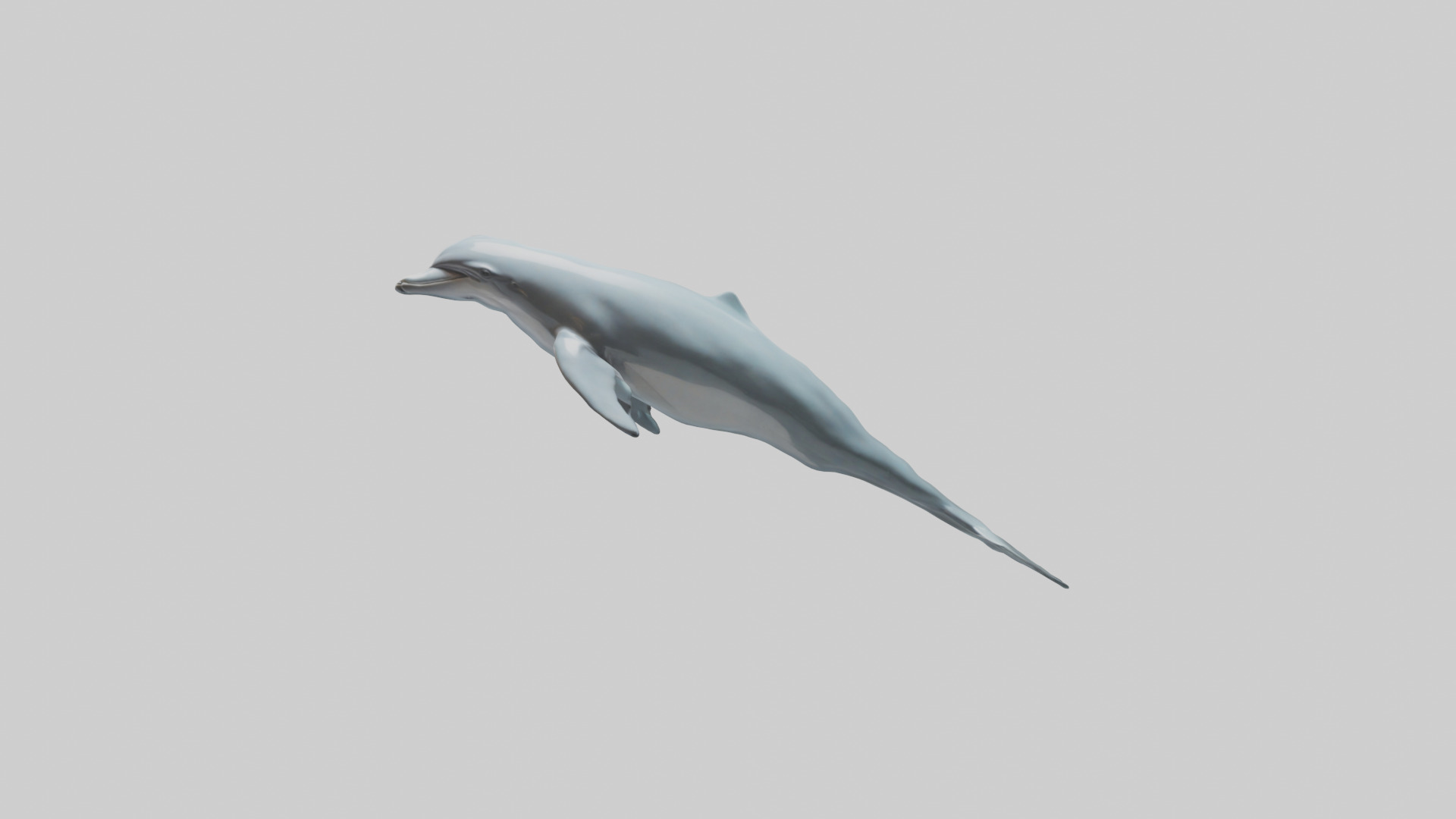 Dolphin leaping model Low-poly 3D model_14