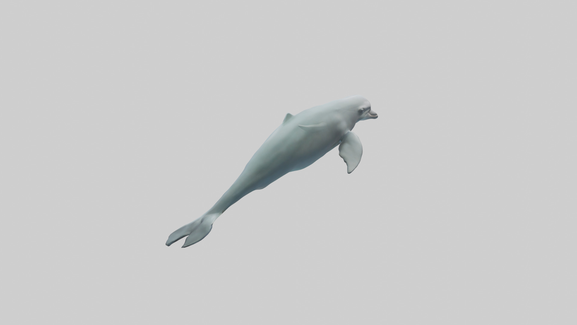 Dolphin leaping model Low-poly 3D model_1