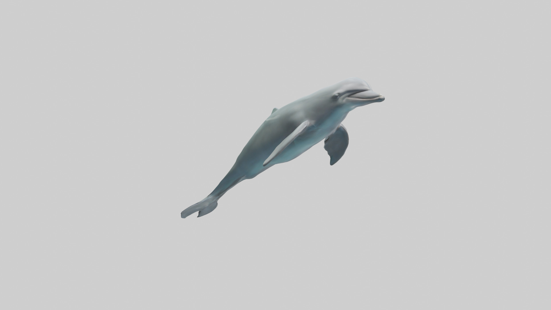 Dolphin leaping model Low-poly 3D model_2