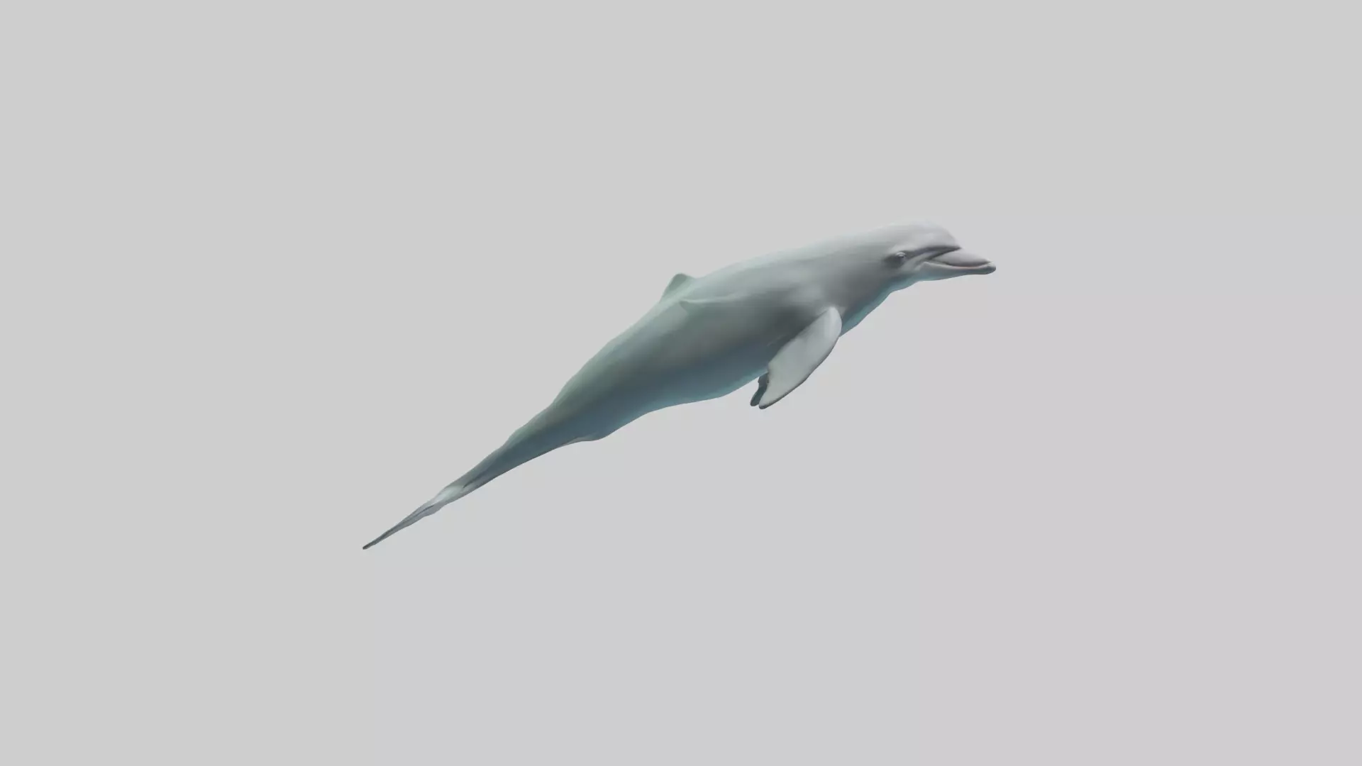 Dolphin leaping model Low-poly 3D model_0