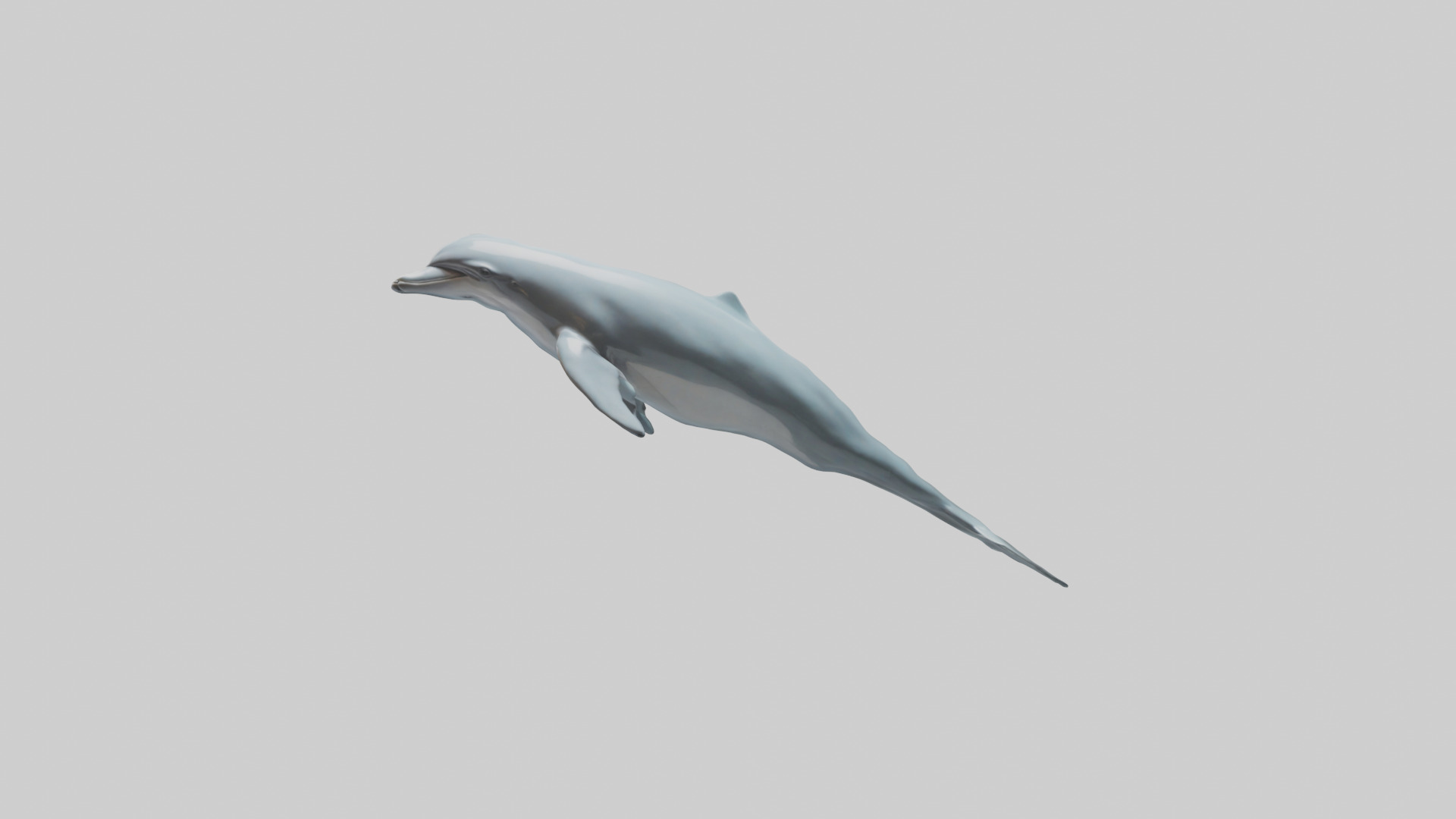 Dolphin leaping model Low-poly 3D model_9