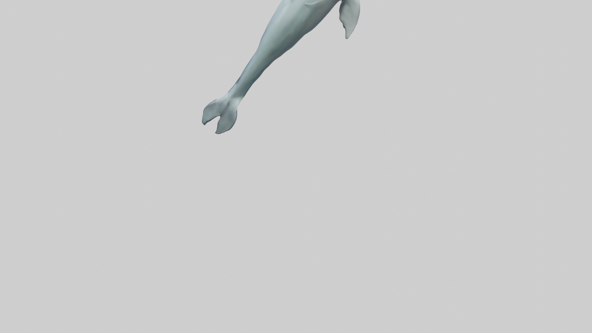 Dolphin leaping model Low-poly 3D model_3