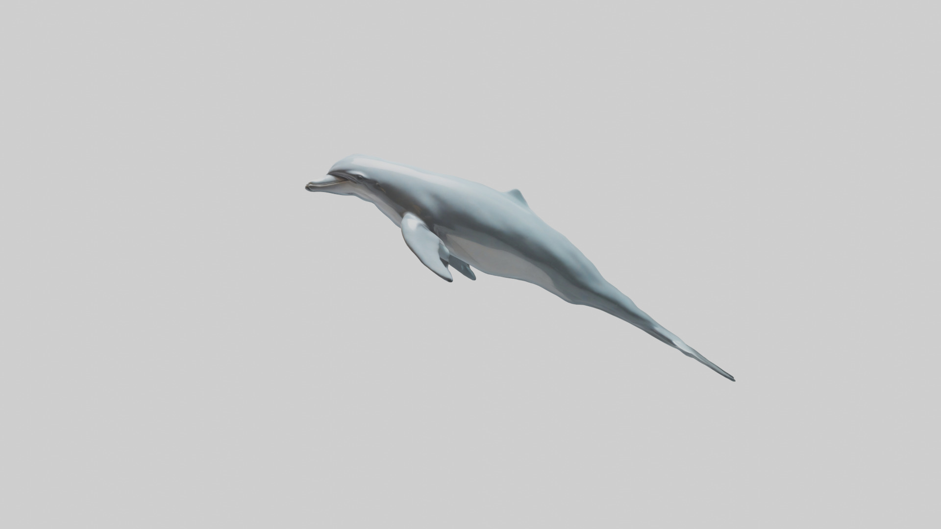 Dolphin leaping model Low-poly 3D model_15