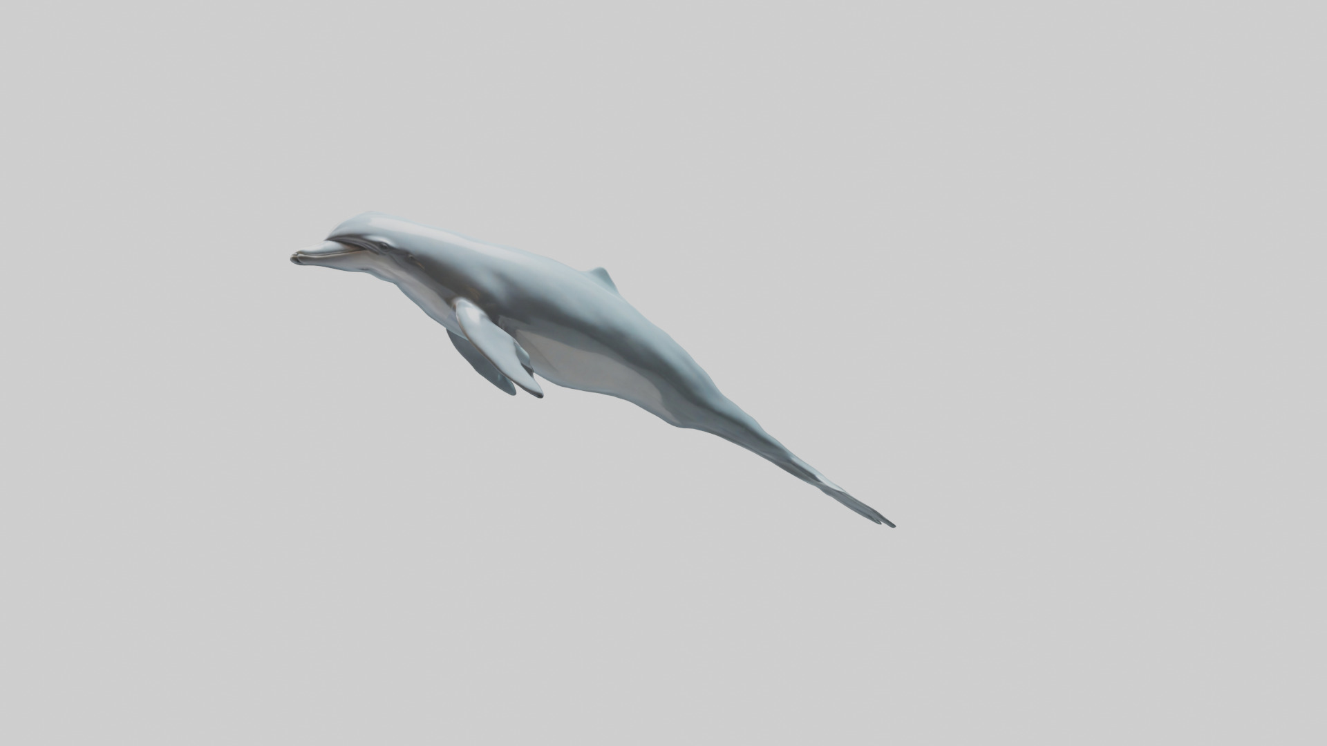 Dolphin leaping model Low-poly 3D model_18