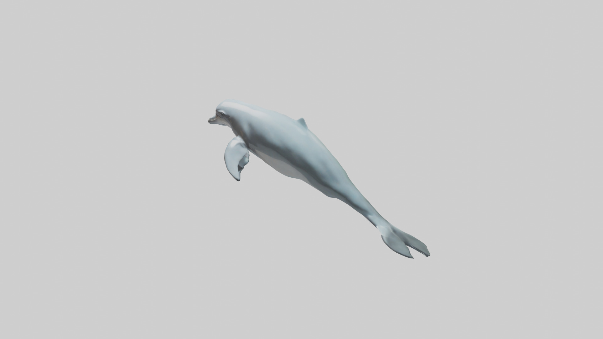 Dolphin leaping model Low-poly 3D model_8