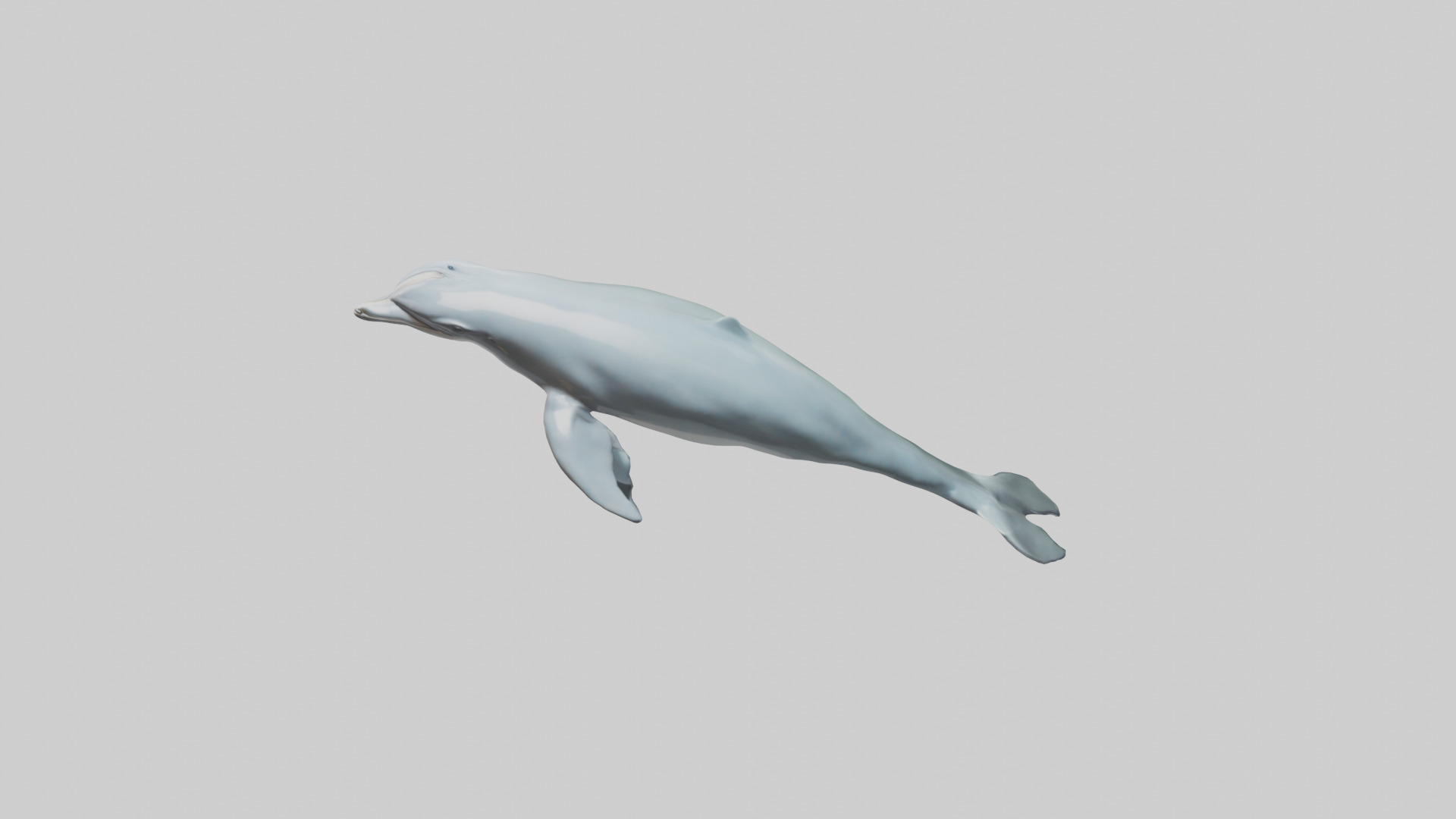 Dolphin leaping model Low-poly 3D model_26
