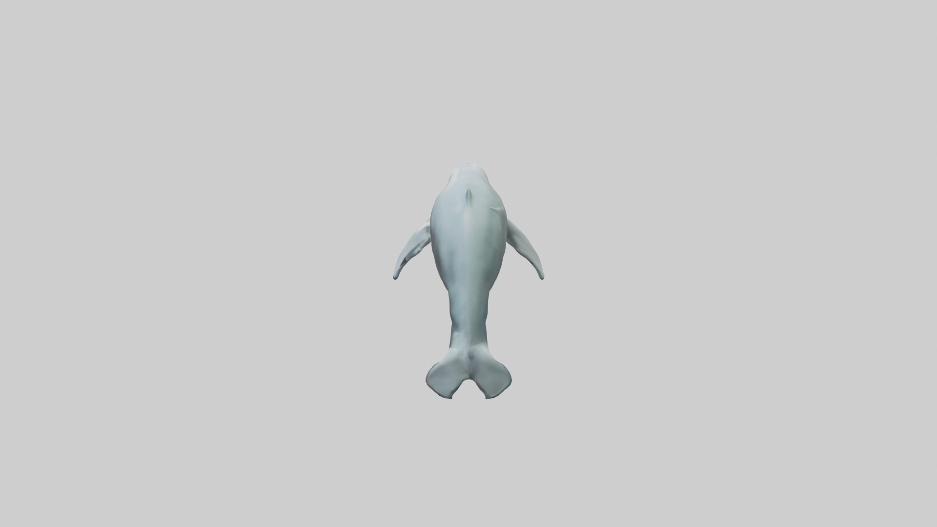 Dolphin leaping model Low-poly 3D model_22