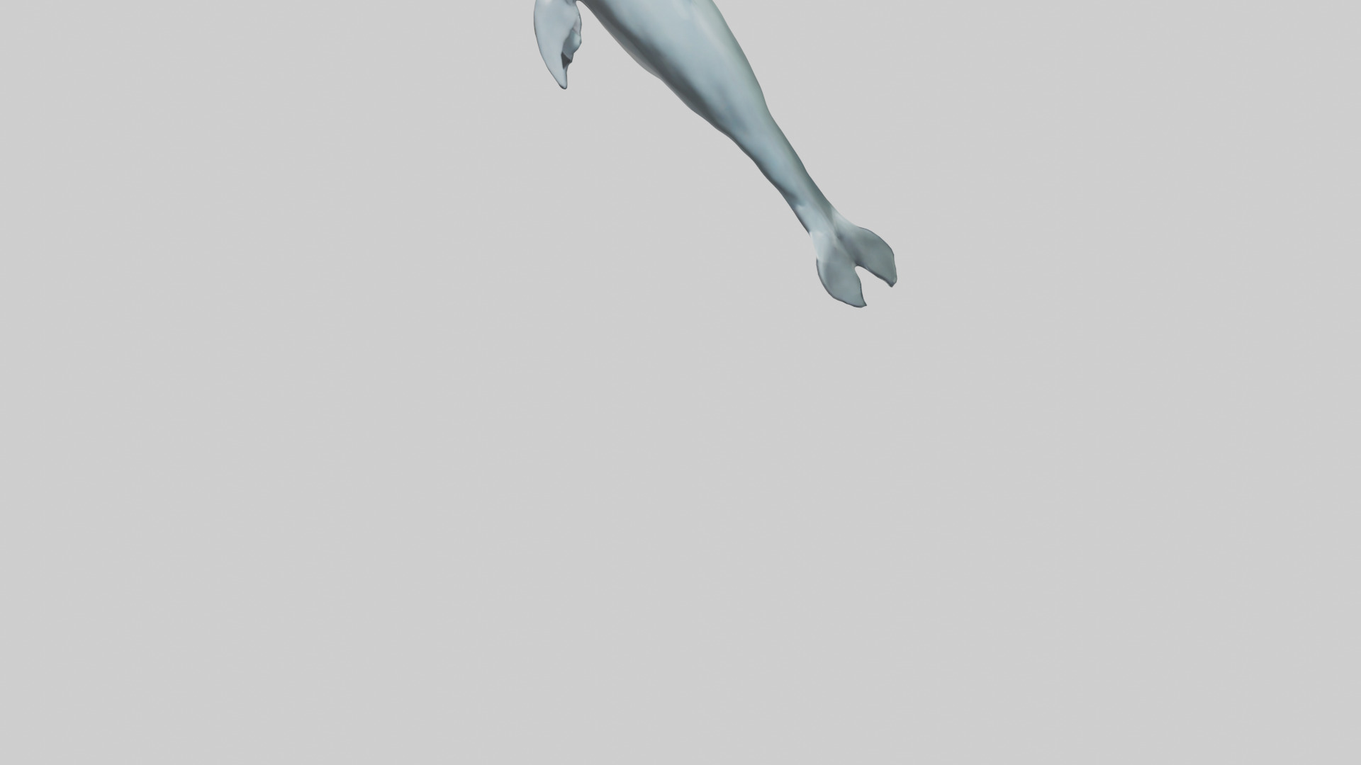 Dolphin leaping model Low-poly 3D model_5