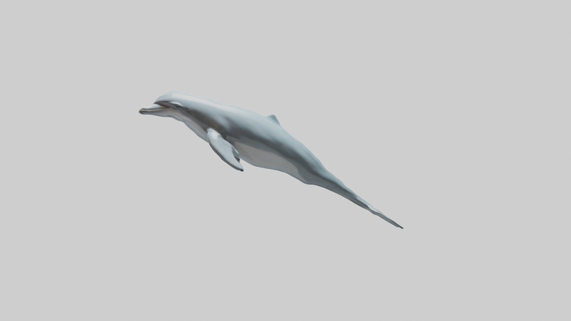 Dolphin leaping model Low-poly 3D model_17