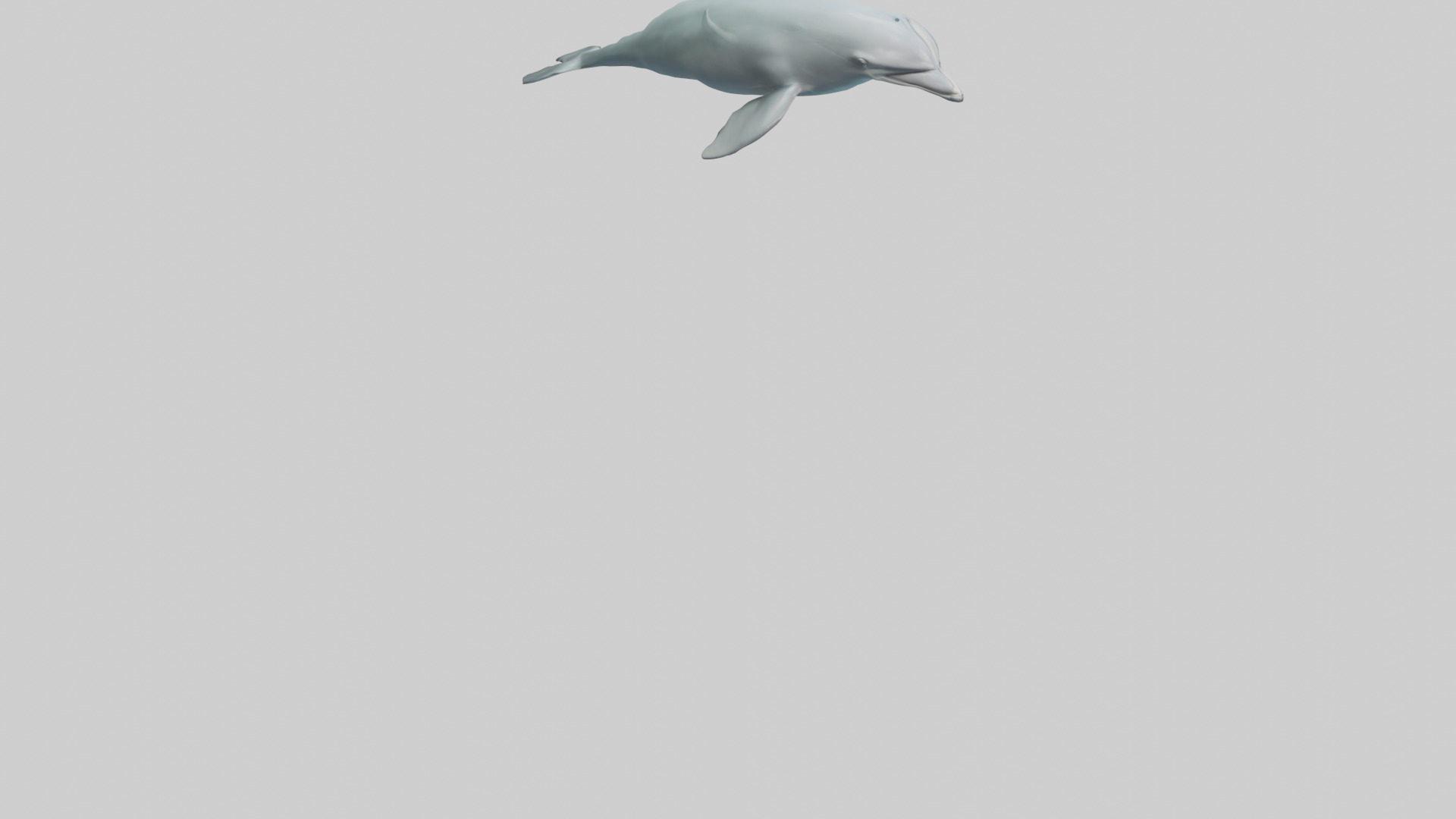 Dolphin leaping model Low-poly 3D model_4