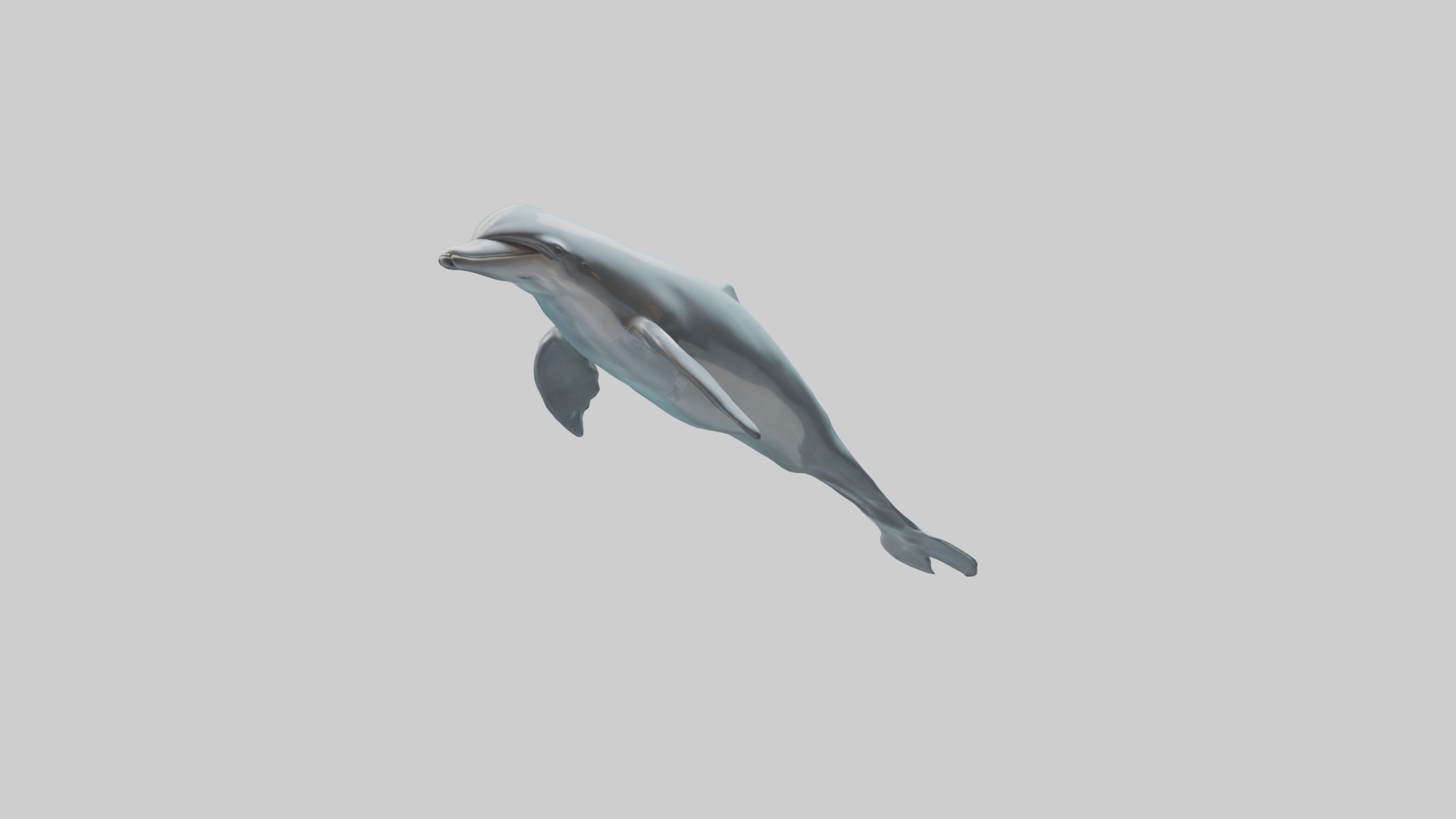 Dolphin leaping model Low-poly 3D model_16