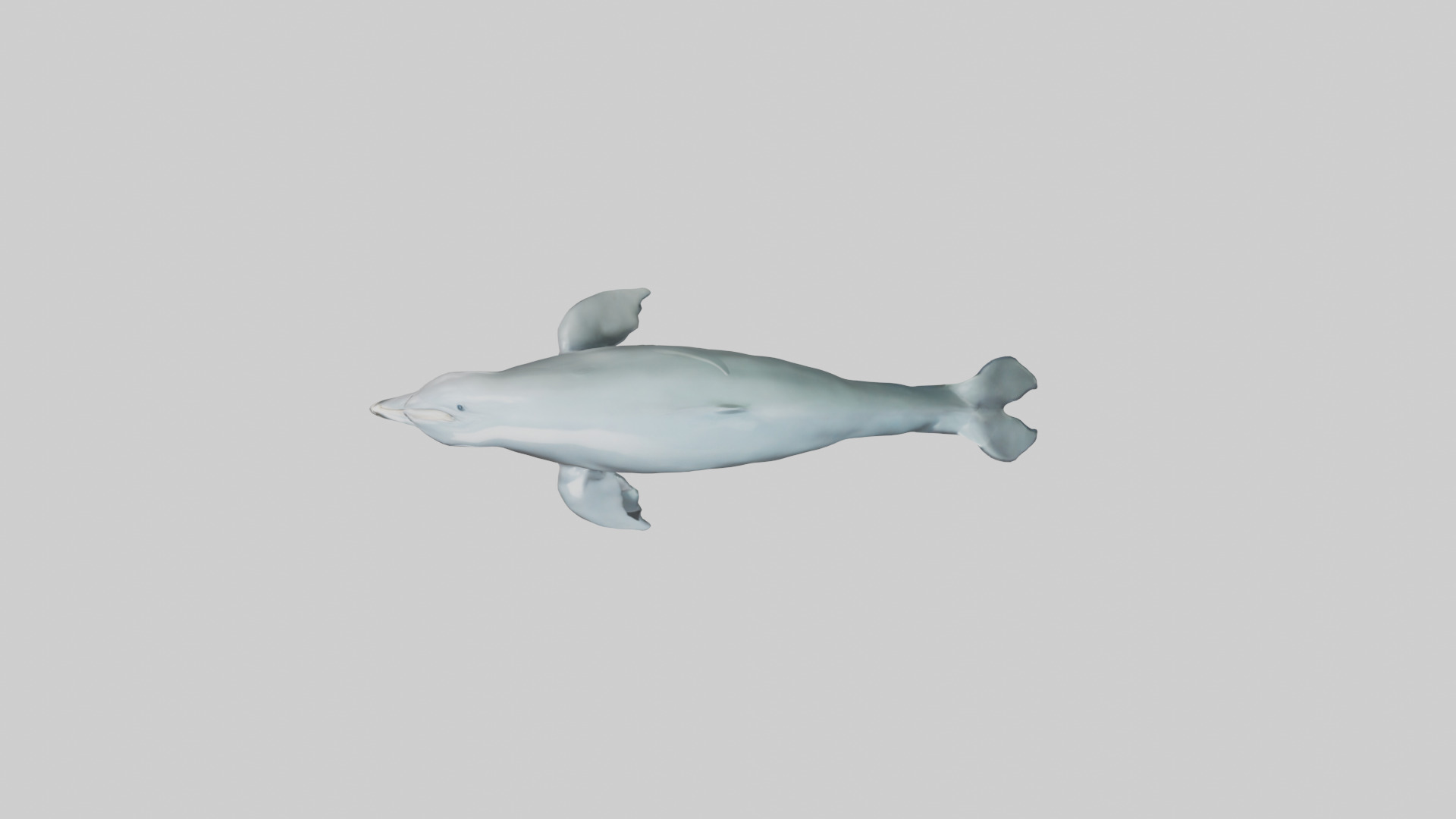 Dolphin leaping model Low-poly 3D model_24