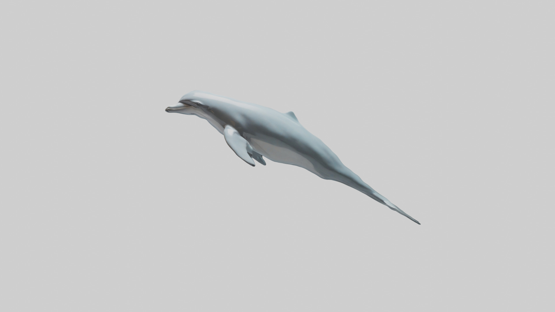 Dolphin leaping model Low-poly 3D model_12