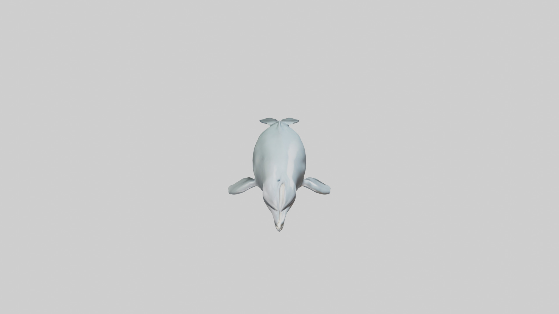 Dolphin leaping model Low-poly 3D model_28