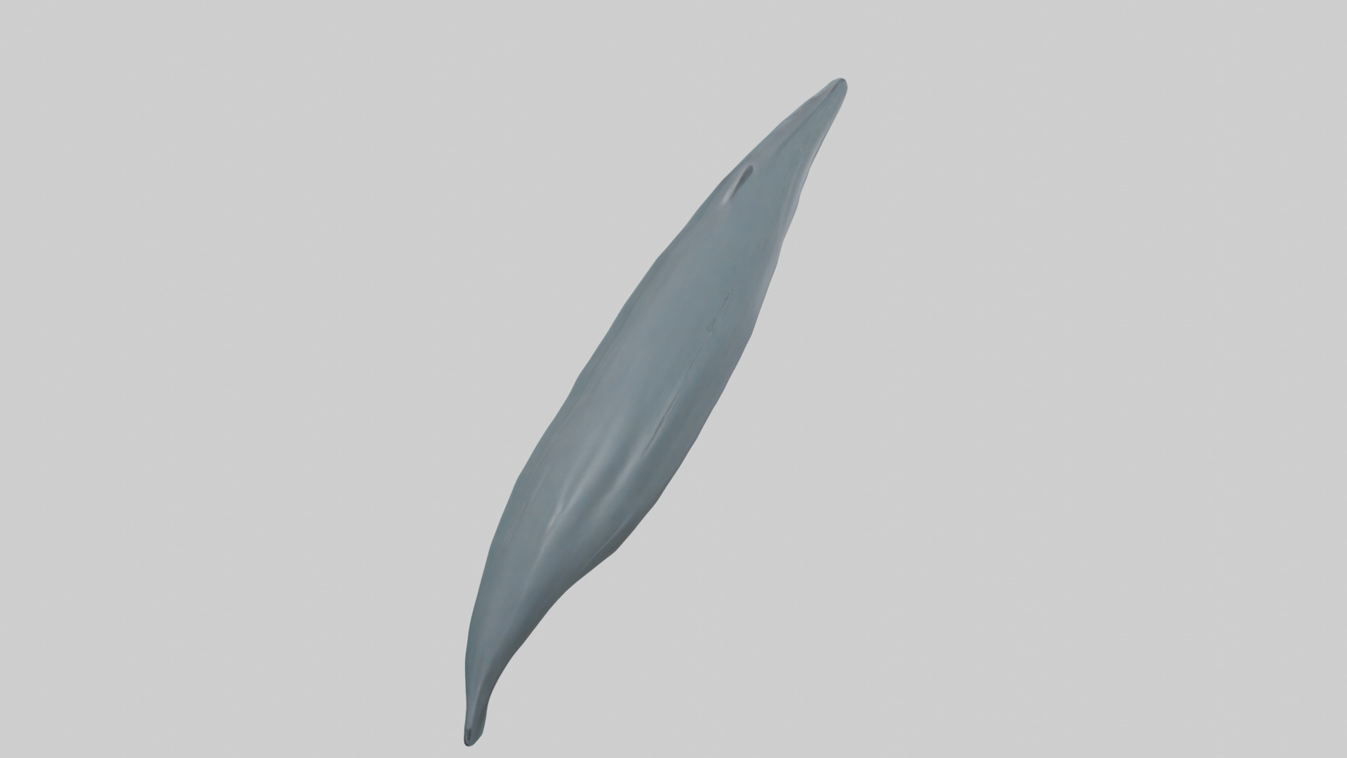 Dolphin Tail Model Low-poly 3D model_1