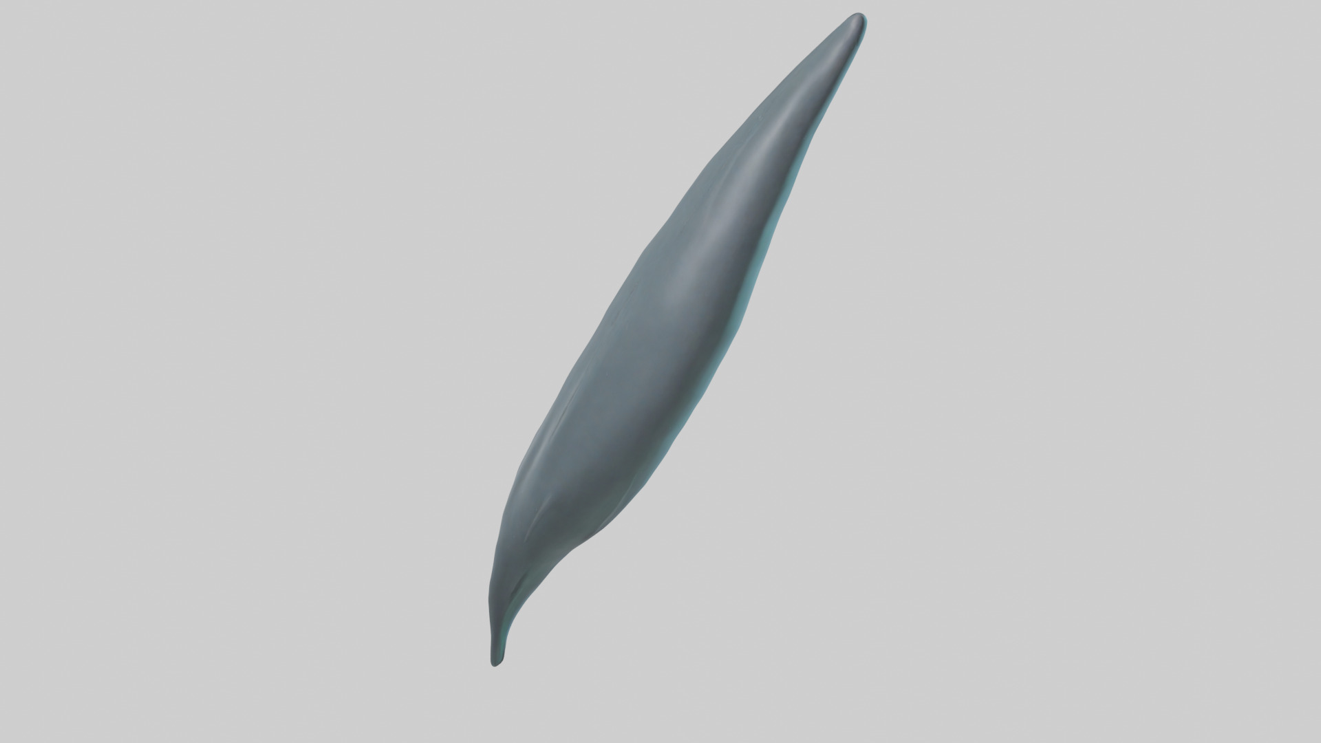 Dolphin Tail Model Low-poly 3D model_2