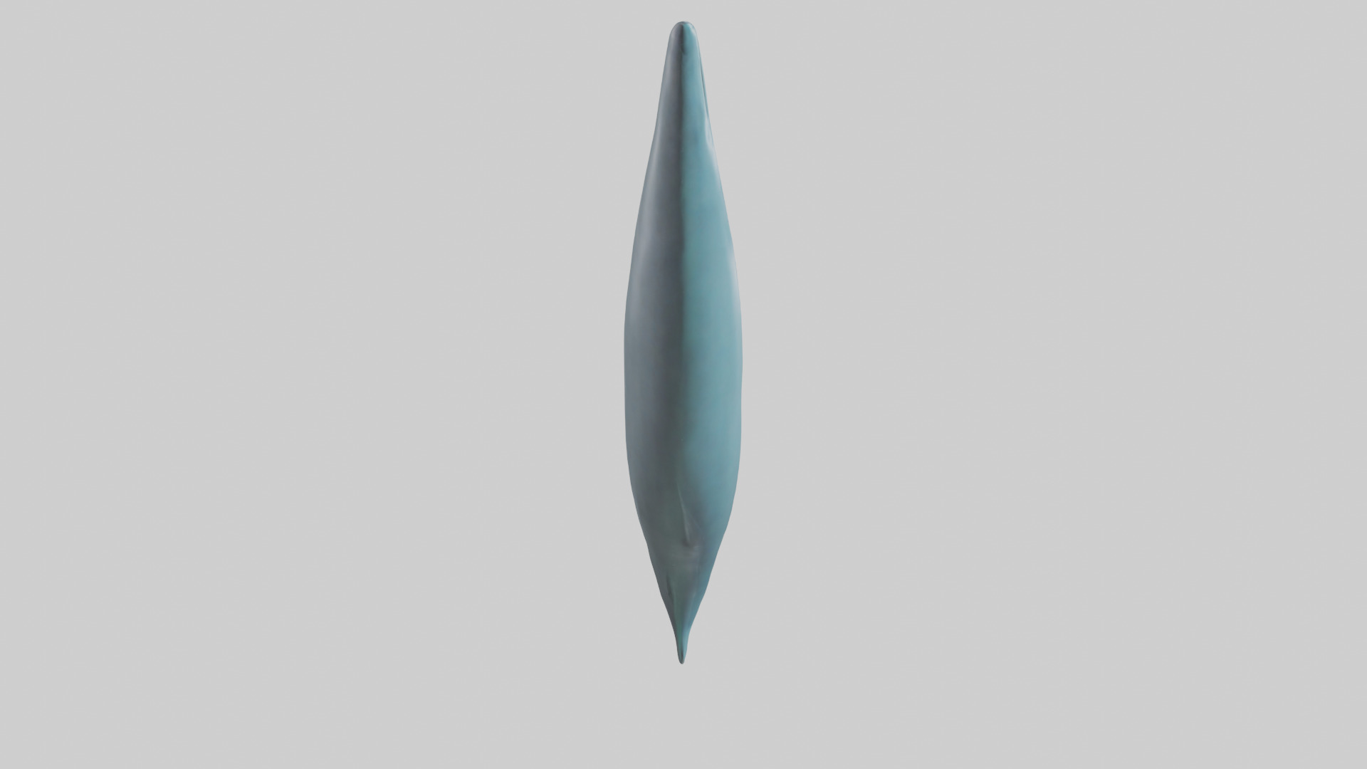 Dolphin Tail Model Low-poly 3D model_23