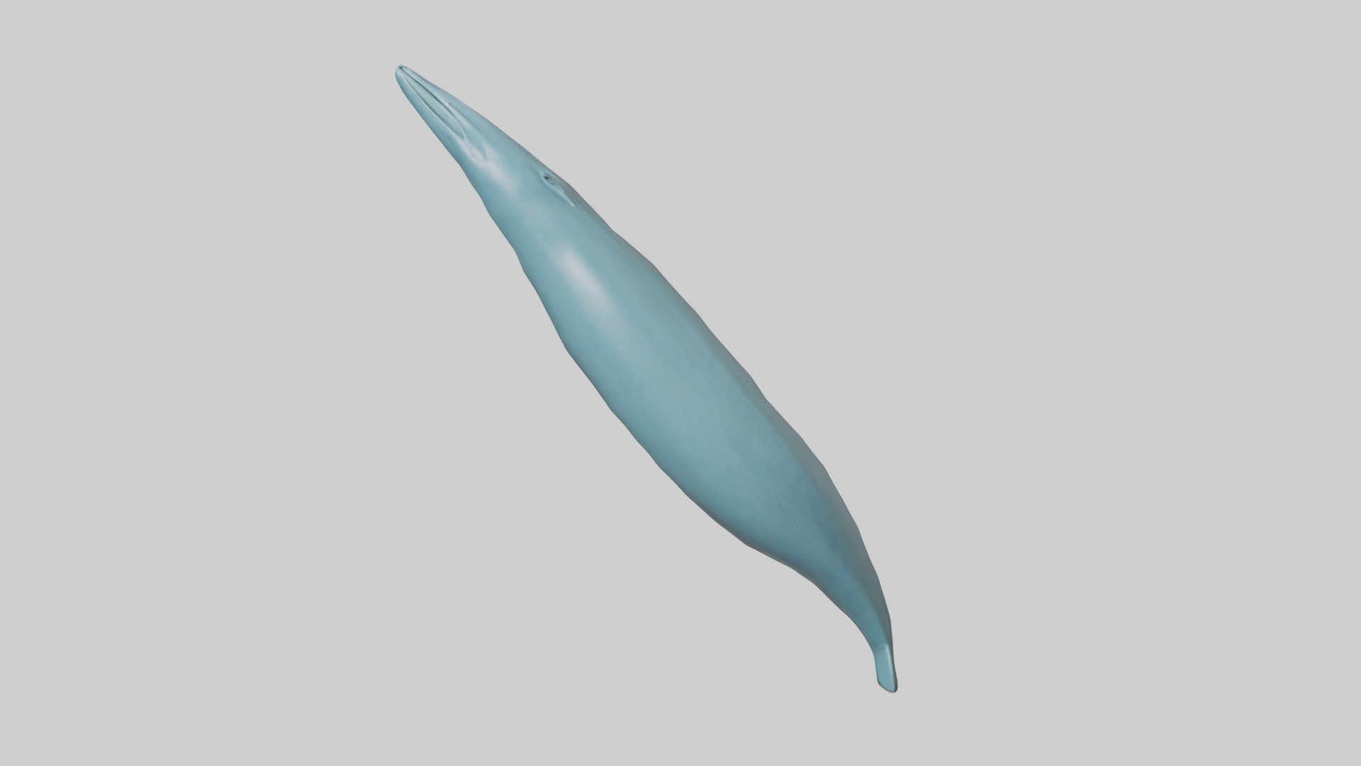 Dolphin Tail Model Low-poly 3D model_17