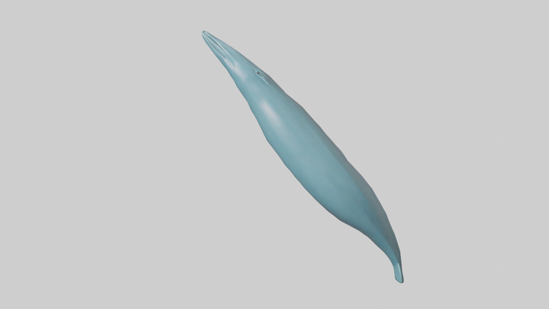 Dolphin Tail Model Low-poly 3D model_15