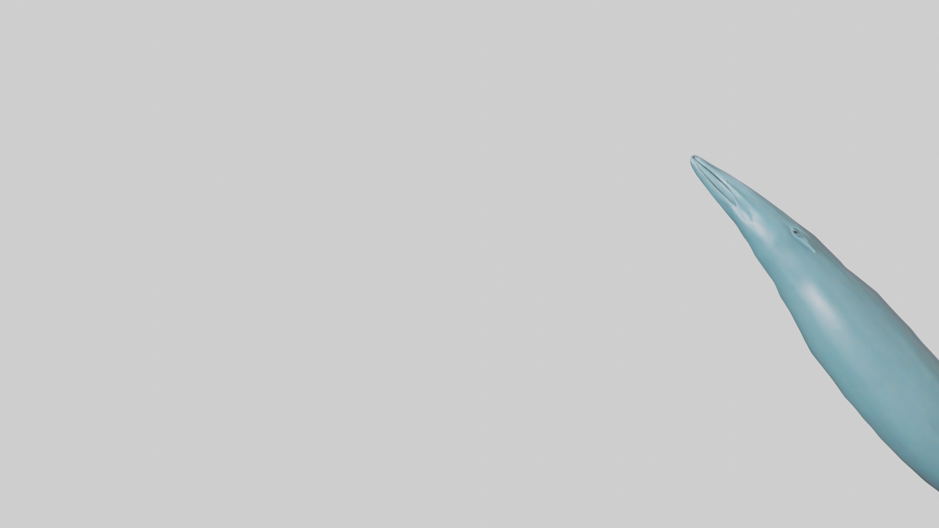 Dolphin Tail Model Low-poly 3D model_21