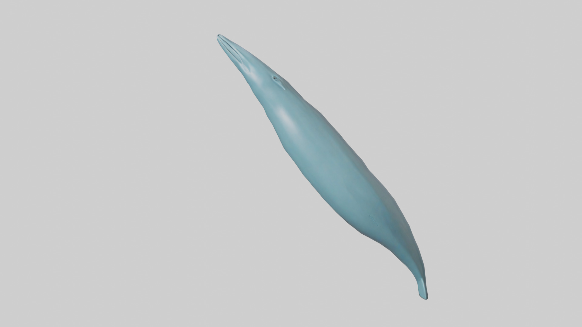 Dolphin Tail Model Low-poly 3D model_13