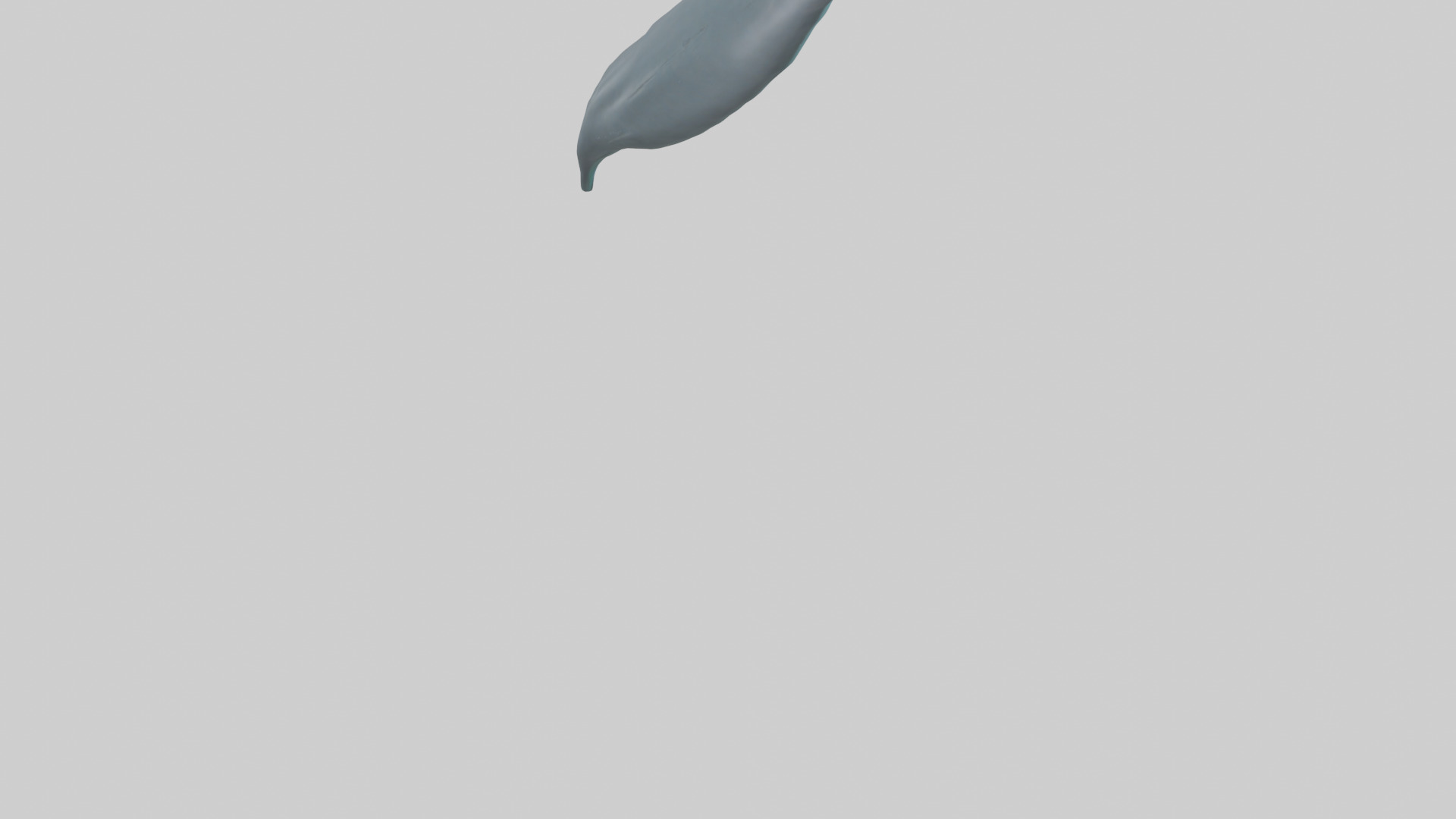 Dolphin Tail Model Low-poly 3D model_4