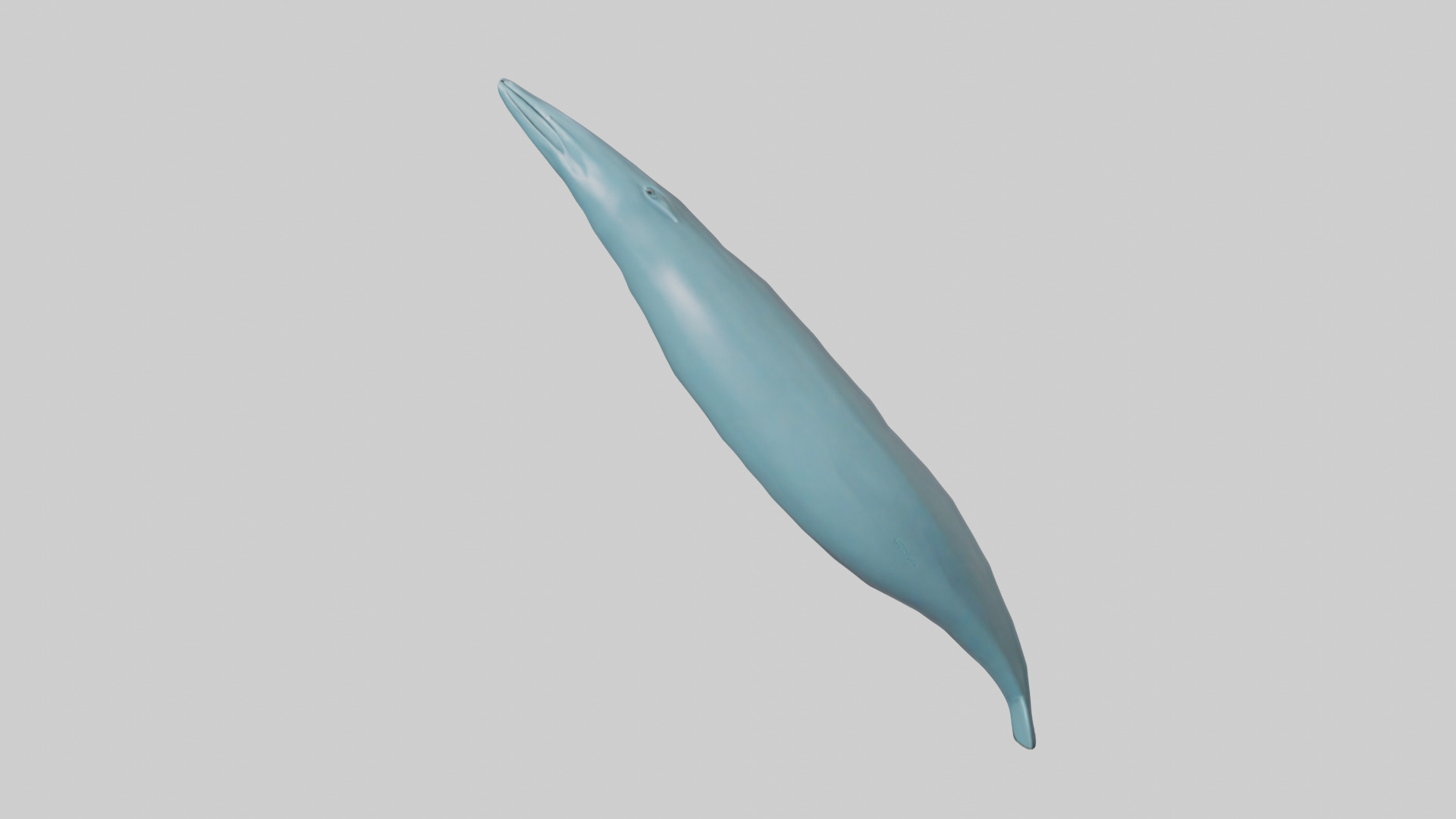 Dolphin Tail Model Low-poly 3D model_12