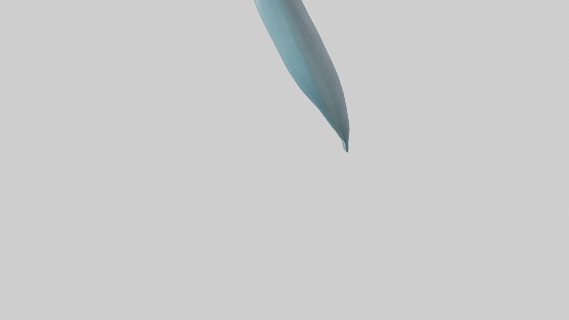 Dolphin Tail Model Low-poly 3D model_5