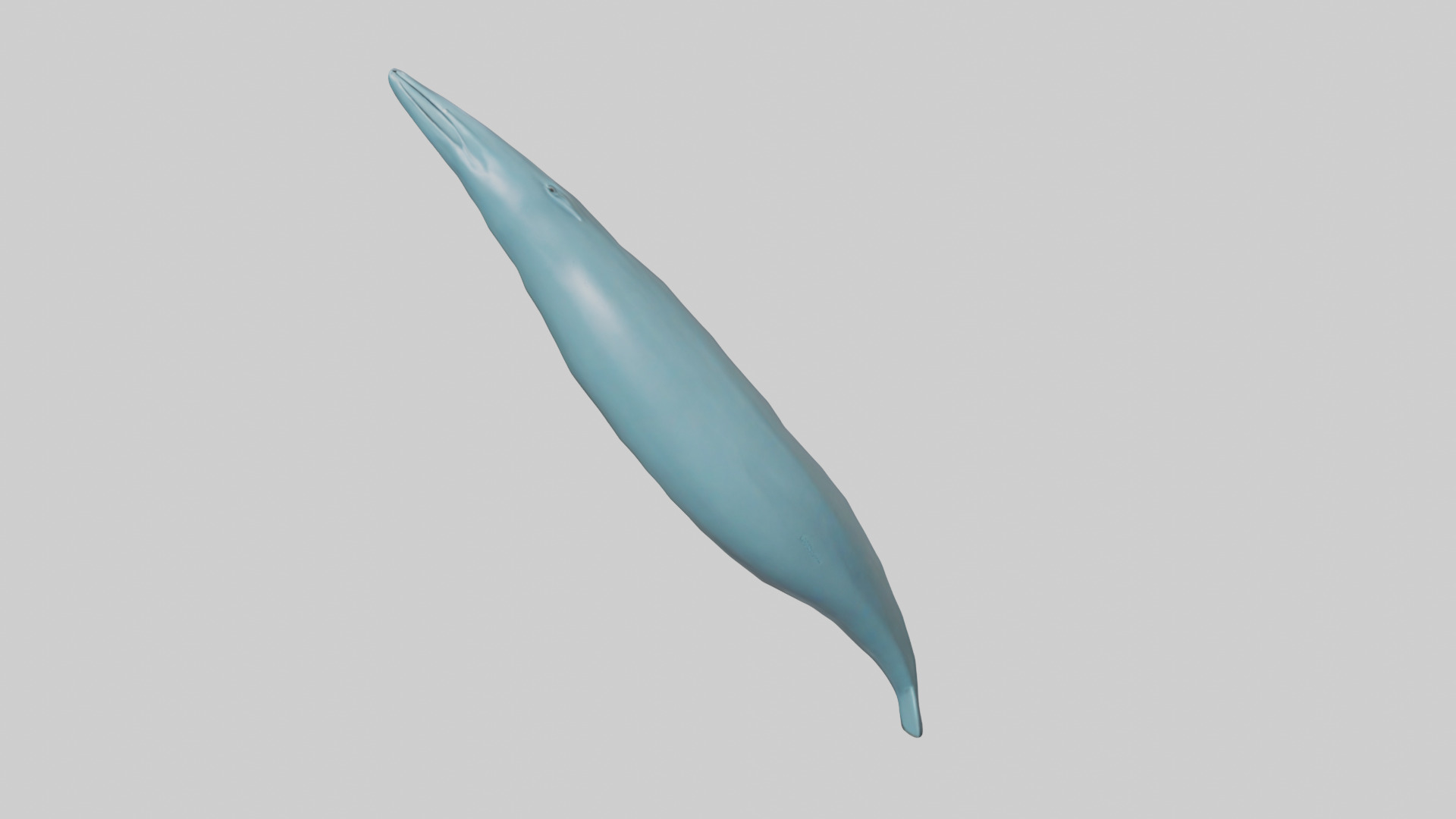 Dolphin Tail Model Low-poly 3D model_20