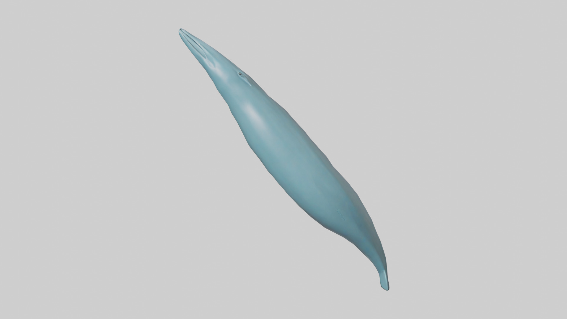 Dolphin Tail Model Low-poly 3D model_9