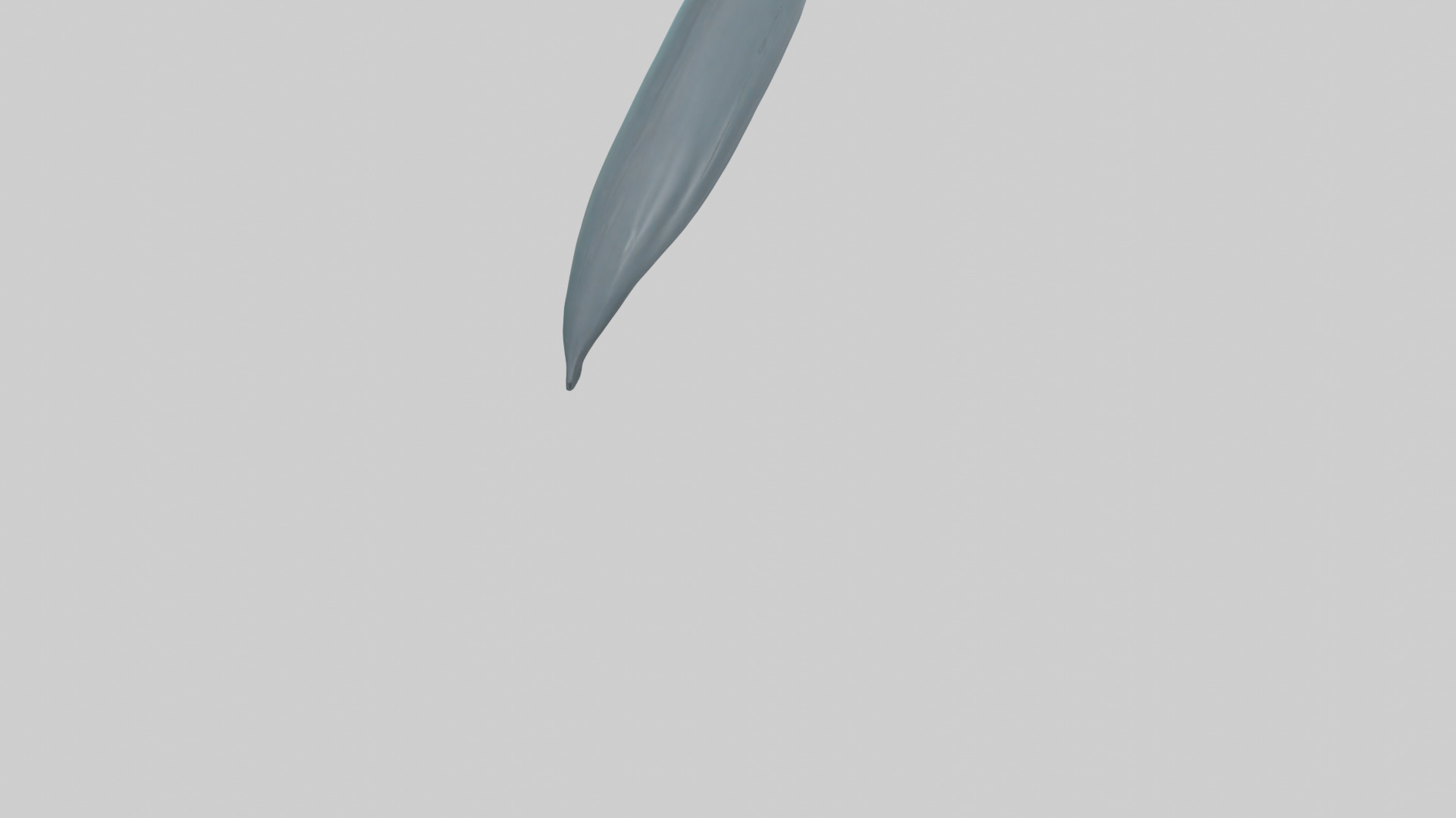 Dolphin Tail Model Low-poly 3D model_3