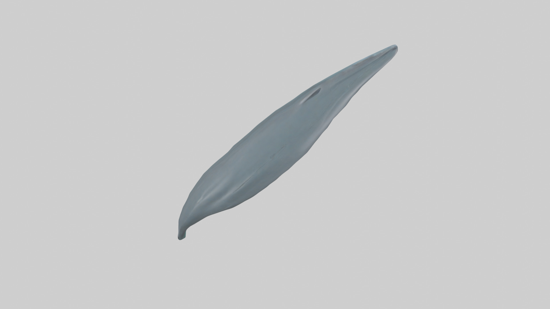 Dolphin Tail Model Low-poly 3D model_25