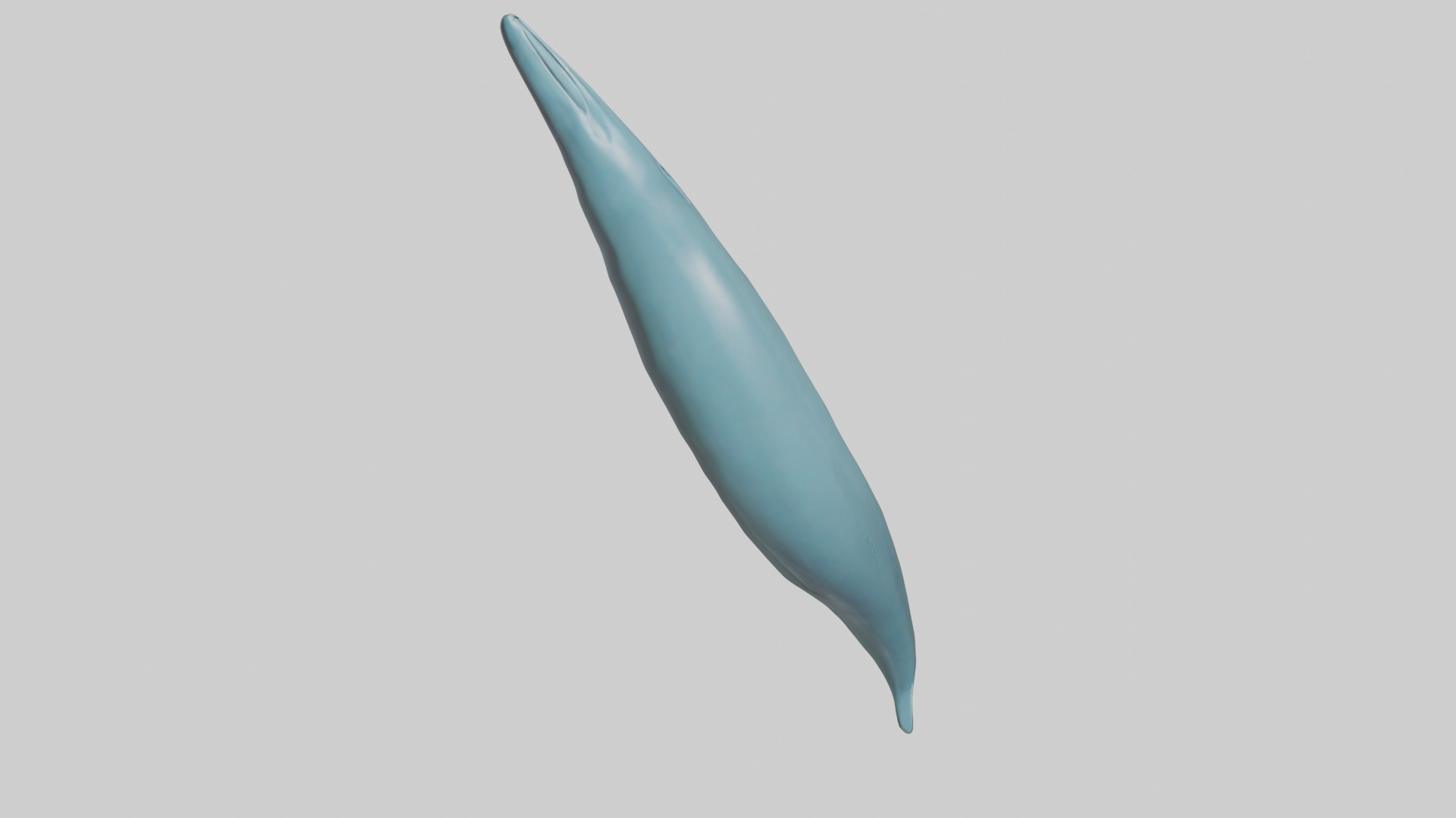 Dolphin Tail Model Low-poly 3D model_16