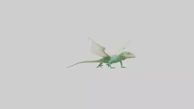 Draco Lizard gliding model Low-poly 3D model