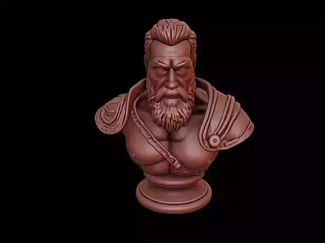 Tyr Bust